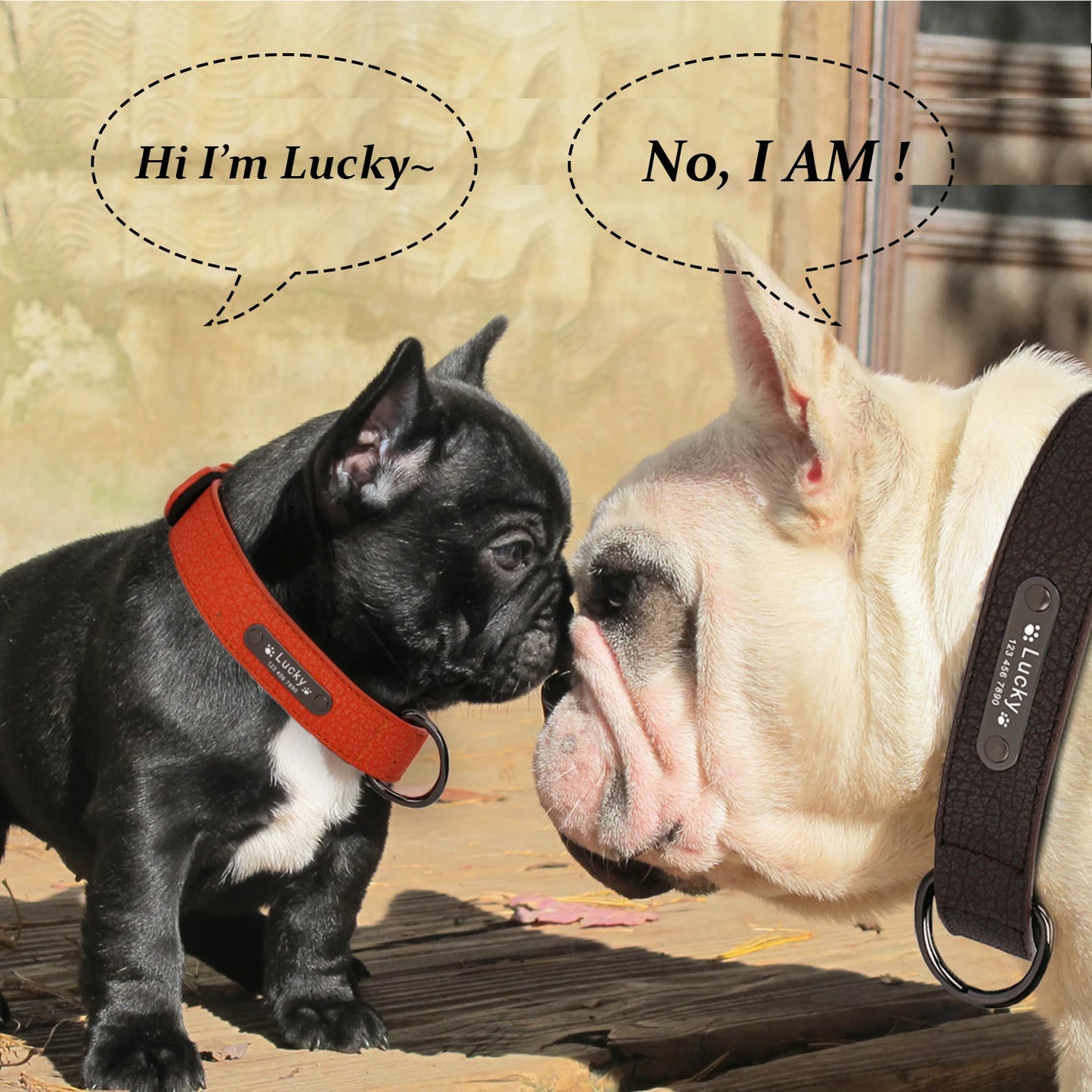personalized-dog-collar-leather-pet-tag-collar-for-dogs-big-dog-collar-for-small-dogs-wide-custom-large-dog-collar-pet-product