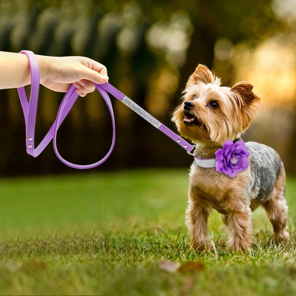 glitter-rhinestone-dog-leather-collar-cute-floral-necklace-pet-120cm-walking-leash-for-small-medium-large-dogs-chihuahua-xs-l