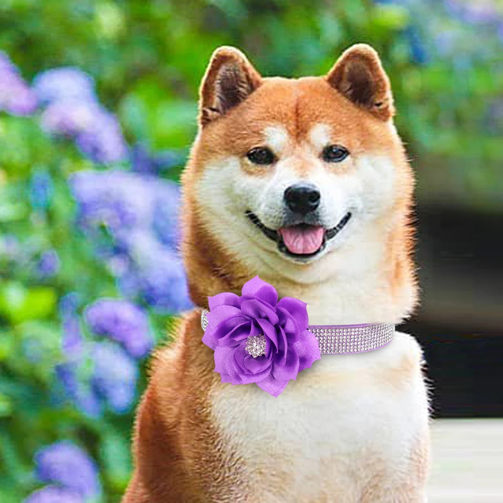 glitter-rhinestone-dog-leather-collar-cute-floral-necklace-pet-120cm-walking-leash-for-small-medium-large-dogs-chihuahua-xs-l