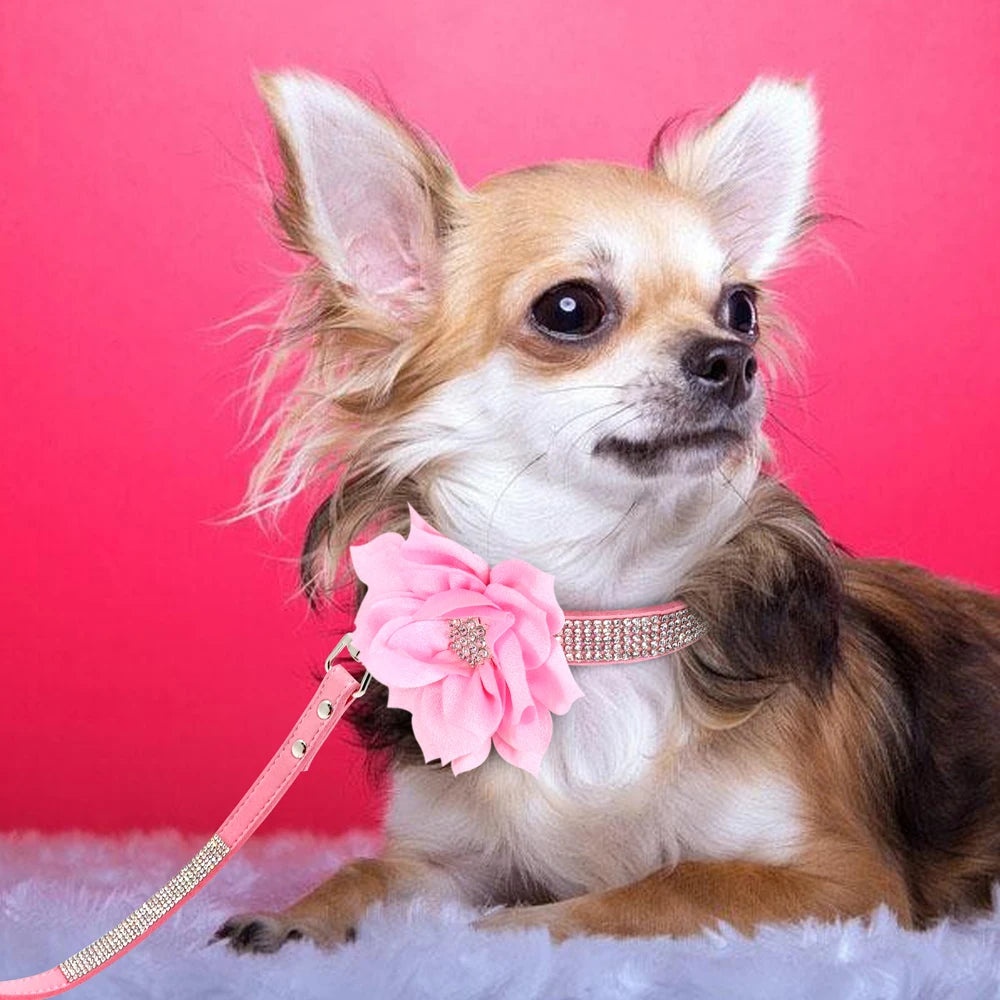 glitter-rhinestone-dog-leather-collar-cute-floral-necklace-pet-120cm-walking-leash-for-small-medium-large-dogs-chihuahua-xs-l