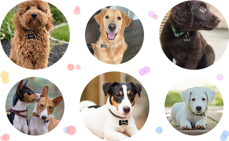 personalized-engraved-pet-id-name-cat-dog-pet-id-anti-lost-tag-pendant-for-cat-puppy-dog-collar-tag-keyring-bone-pet-accessories