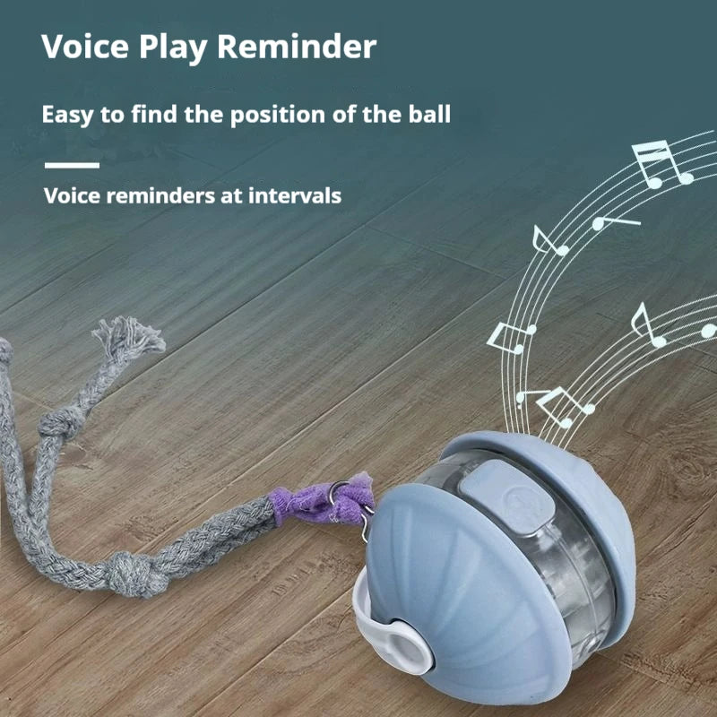 new-smart-cat-interactive-ball-toys-infrared-automatic-rolling-ball-tail-rechargeable-pet-toy-cat-training-imitate-mouse