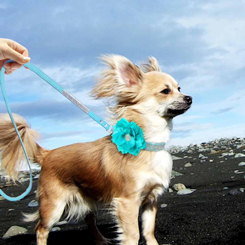 glitter-rhinestone-dog-leather-collar-cute-floral-necklace-pet-120cm-walking-leash-for-small-medium-large-dogs-chihuahua-xs-l