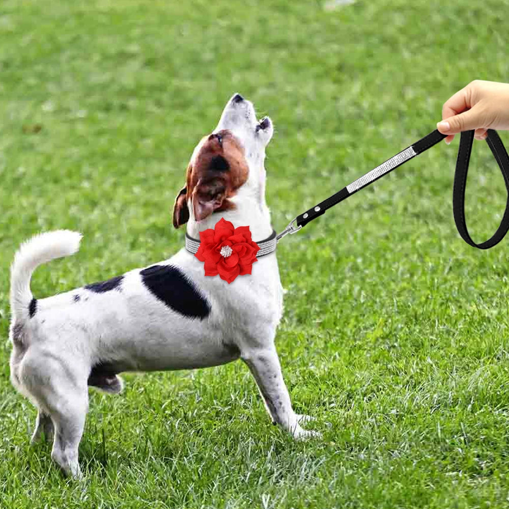 glitter-rhinestone-dog-leather-collar-cute-floral-necklace-pet-120cm-walking-leash-for-small-medium-large-dogs-chihuahua-xs-l