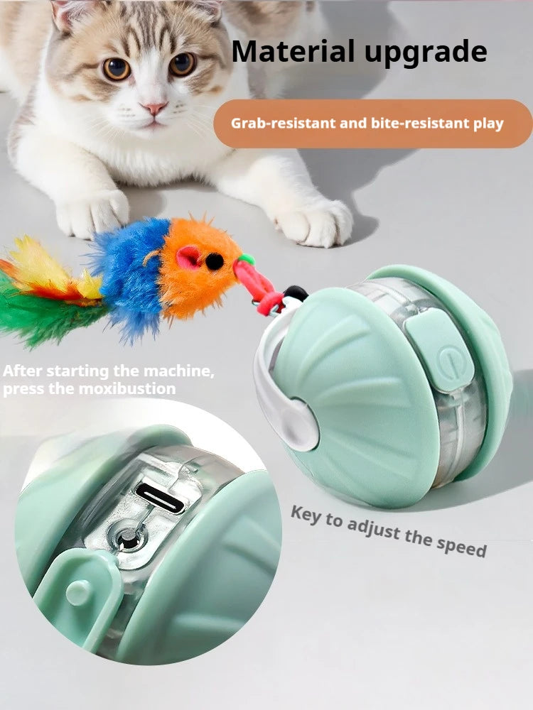 new-smart-cat-interactive-ball-toys-infrared-automatic-rolling-ball-tail-rechargeable-pet-toy-cat-training-imitate-mouse