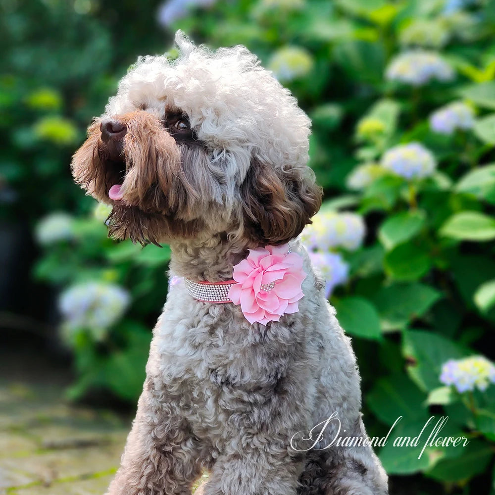 glitter-rhinestone-dog-leather-collar-cute-floral-necklace-pet-120cm-walking-leash-for-small-medium-large-dogs-chihuahua-xs-l