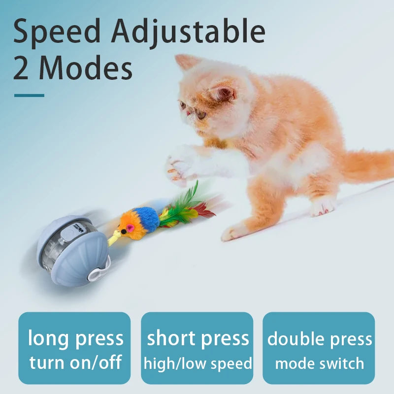 new-smart-cat-interactive-ball-toys-infrared-automatic-rolling-ball-tail-rechargeable-pet-toy-cat-training-imitate-mouse
